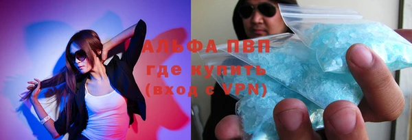 крисы Алексин