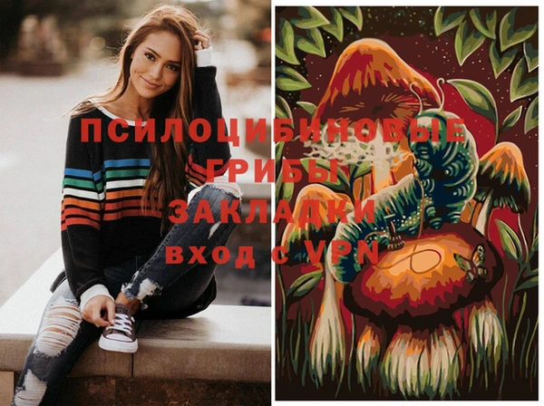 крисы Алексин