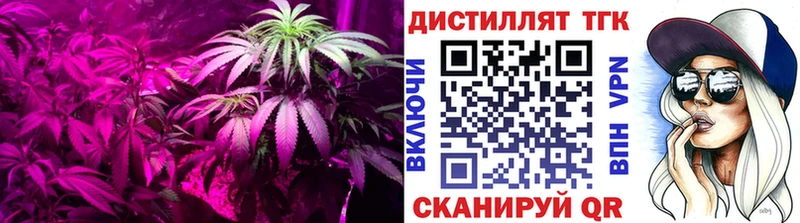 Купить где  Троицк  Дистиллят ТГК концентрат 